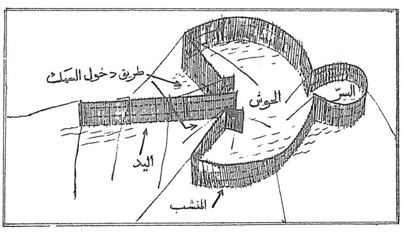 رسم توضيحي للحظرة.